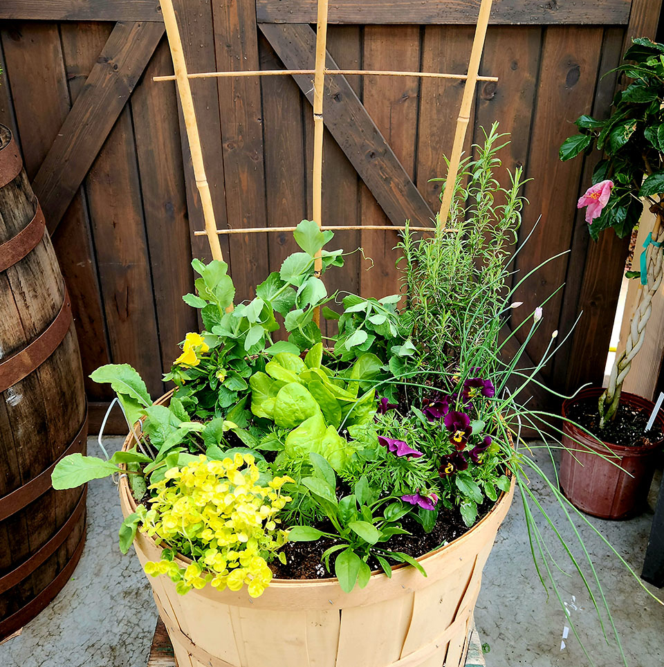 flowers green bay wi