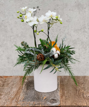 White Winter - Green Bay floral